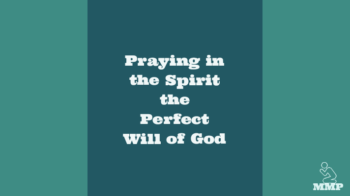 Praying in the spirit the perfect will of God